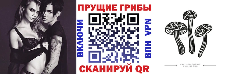 Псилоцибиновые грибы Magic Shrooms  ОМГ ОМГ ONION  Новое Девяткино  что такое  